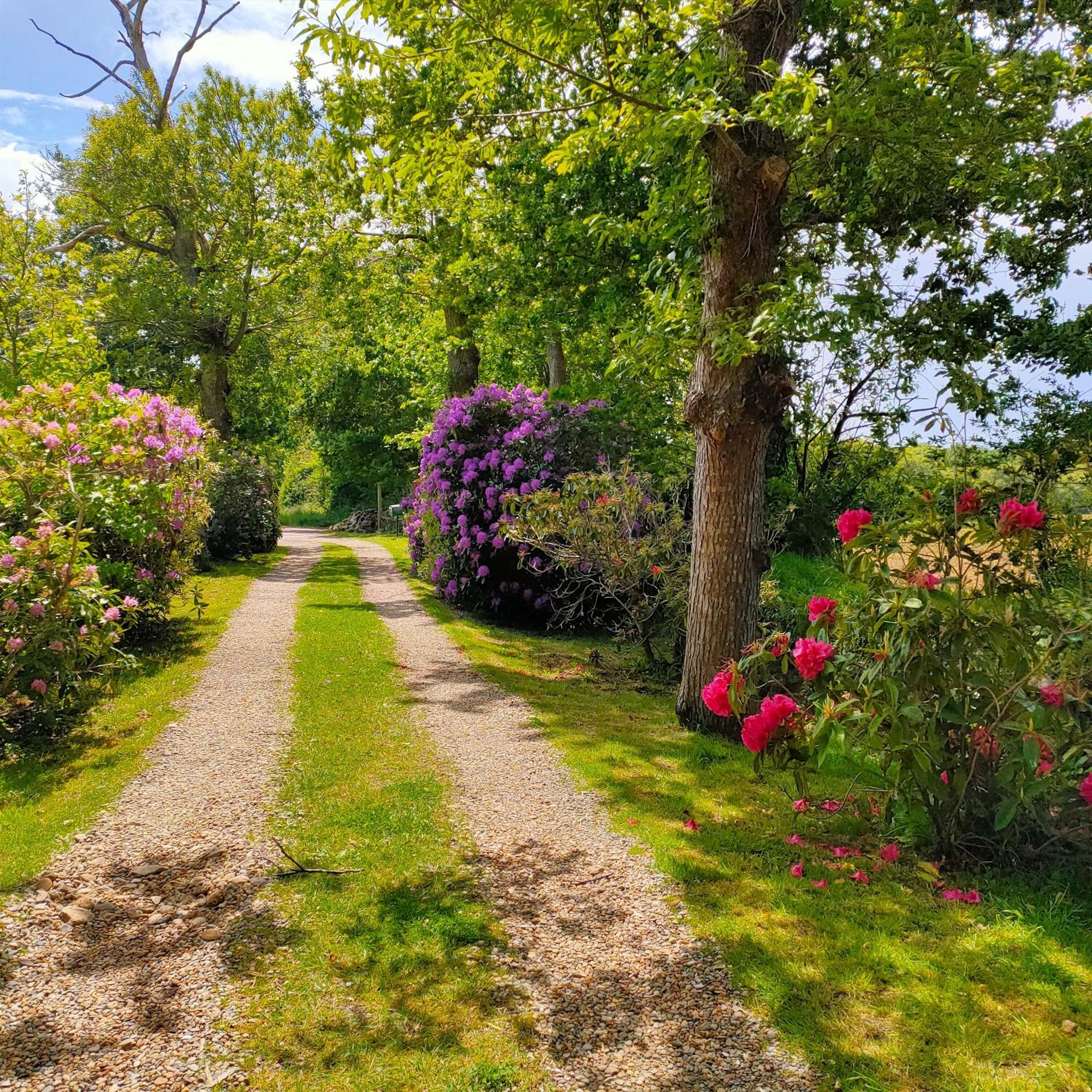 Bed and Breakfast La Ferme De Kerraoul Combrit Exterior foto
